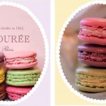 CRAVE IT. COVET. LOVE IT.  This Week:  Crave Les Macarons Laduree